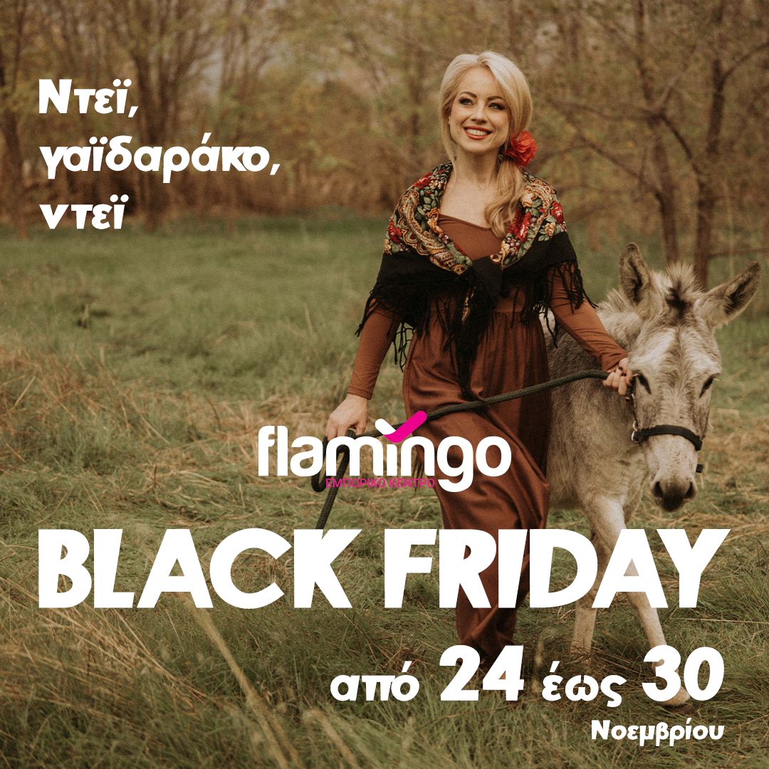 flamingo retail park_black friday