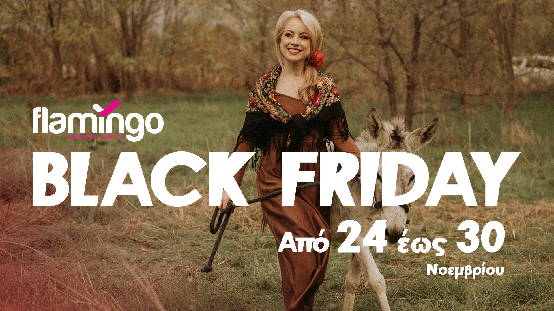 Black Friday campaign for Flamingo Retail Park